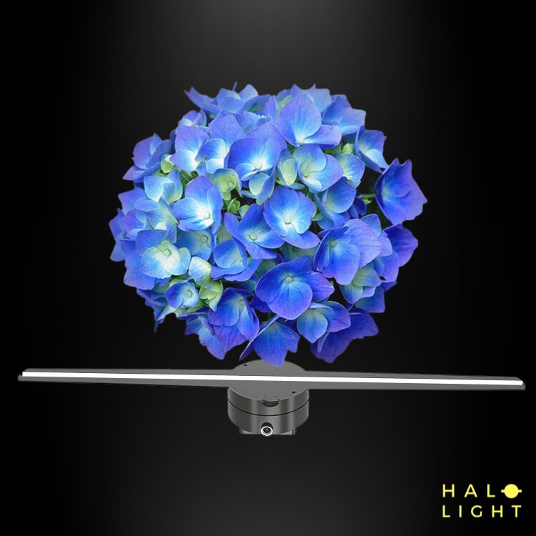Projecteur HolographiqueHalolight