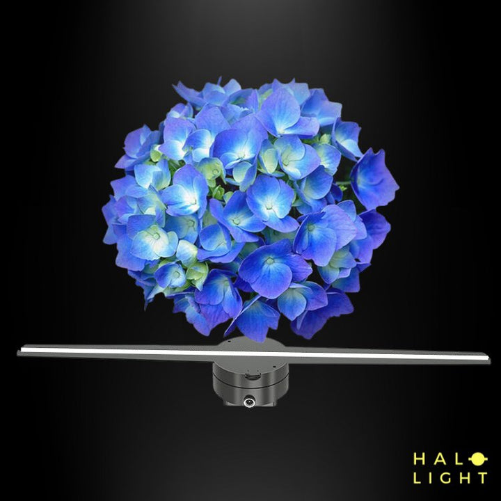 Projecteur HolographiqueHalolight
