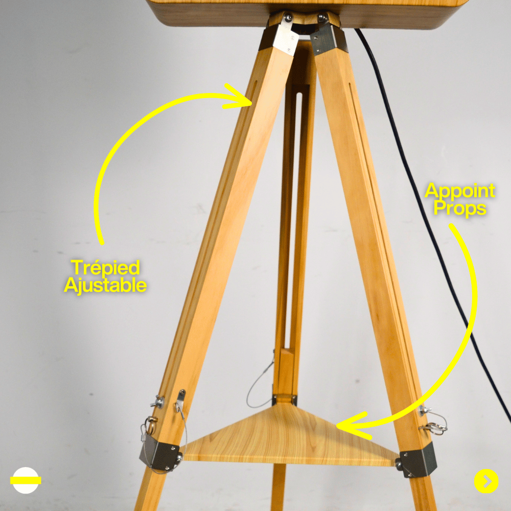 Borne PhotoBooth Woody Halolight