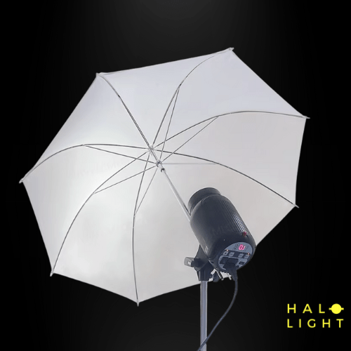 Flash 250W - Déclencheur & Réflecteur Parapluie Halolight