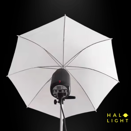 Flash 250W - Déclencheur & Réflecteur Parapluie Halolight