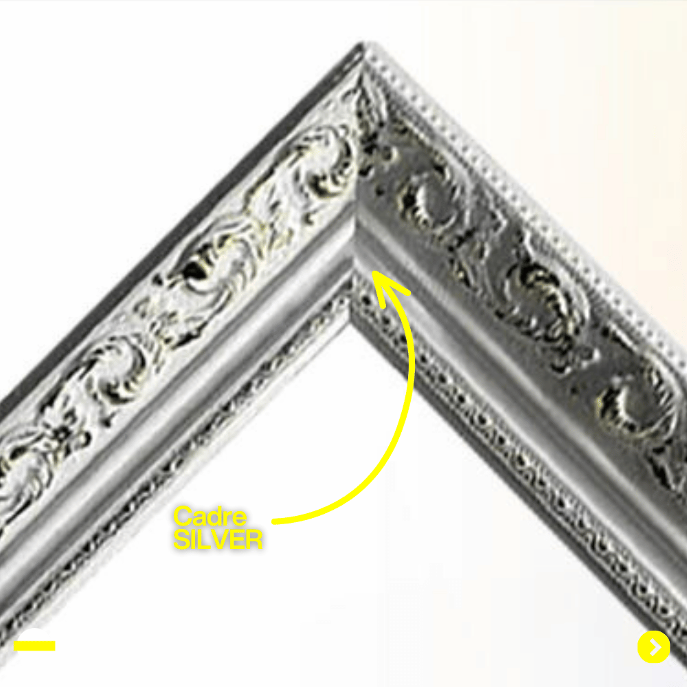 Miroir Magique Photobooth Halolight