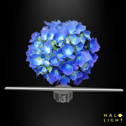 Projecteur HolographiqueHalolight